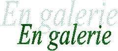 En galerie