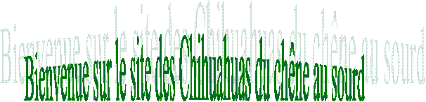 Bienvenue sur le site des Chihuahua du ch�ne au sourd