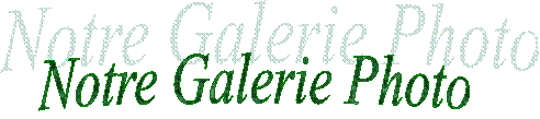 Notre Galerie Photo